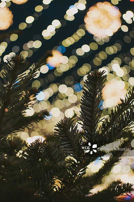 圣诞树的树枝在明亮的灯光背景下。图片素材
