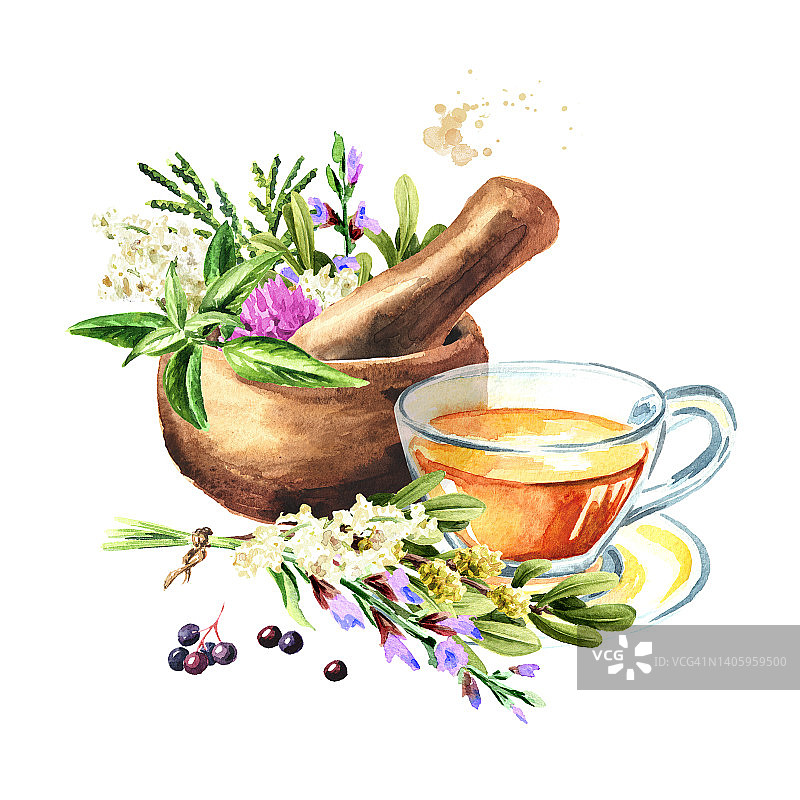 药用植物自制的草药茶。代医、采收草药。手绘水彩插图，孤立在白色背景图片素材