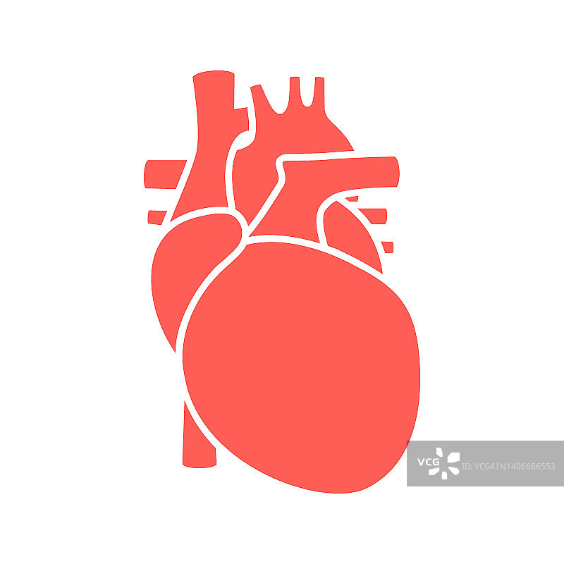 红色的人类心脏符号。人体内脏图标图片素材