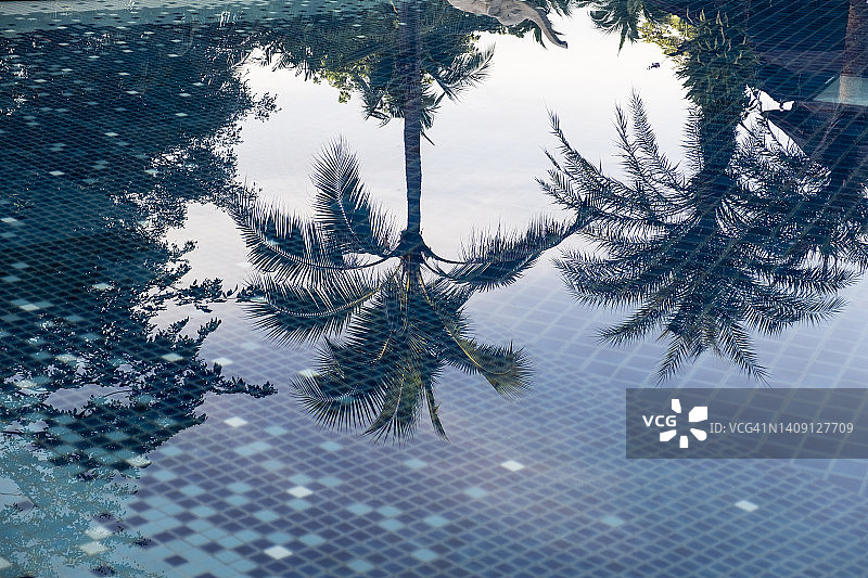 游泳池里椰子和棕榈树的近距离反射。图片素材