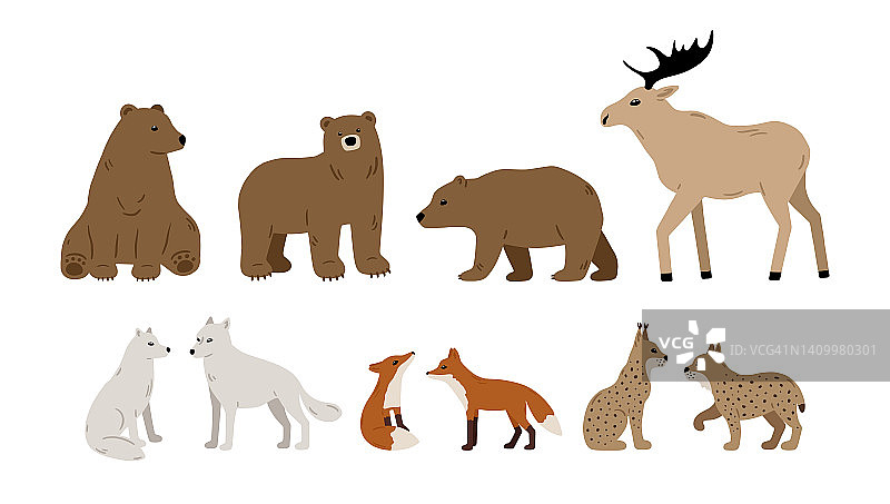 森林动物收集与熊，驼鹿，狼，狐狸和猞猁图片素材