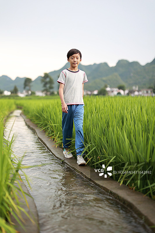 游客男孩走在稻田里图片素材
