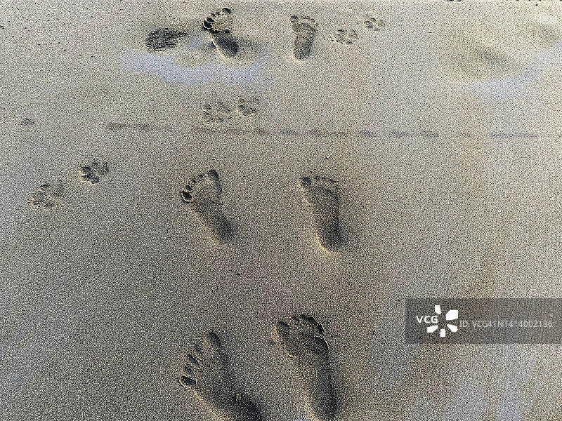 完整帧的人类脚印在沙滩上图片素材
