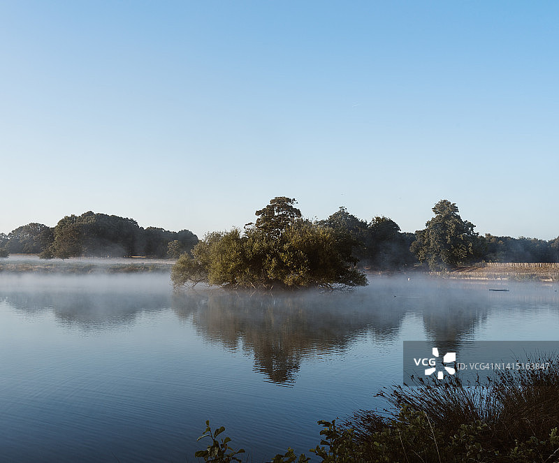 伦敦公园池塘对面的日出图片素材