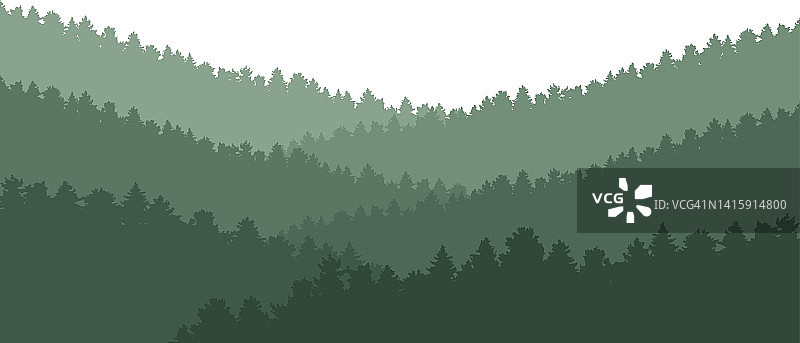 森林背景，自然优美，景观优美。常绿针叶树。山上冷杉树的剪影。向量
插图图片素材