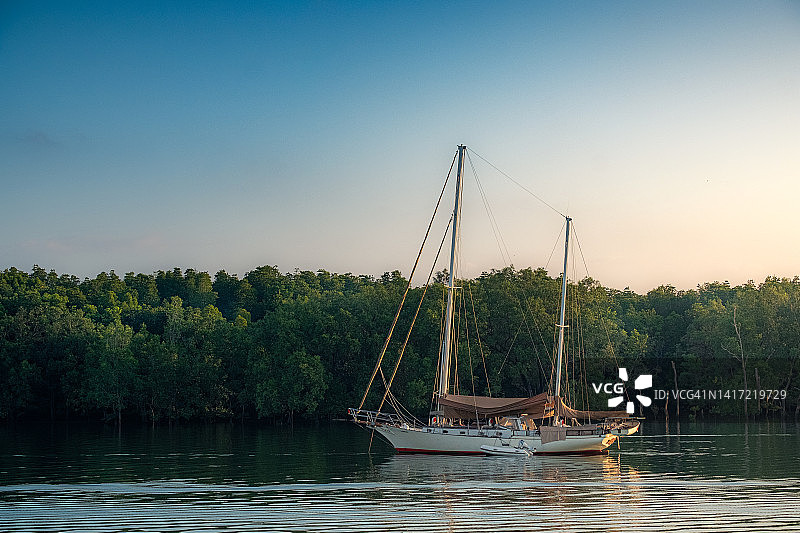 清晨，以红树林为背景的帆船。图片素材