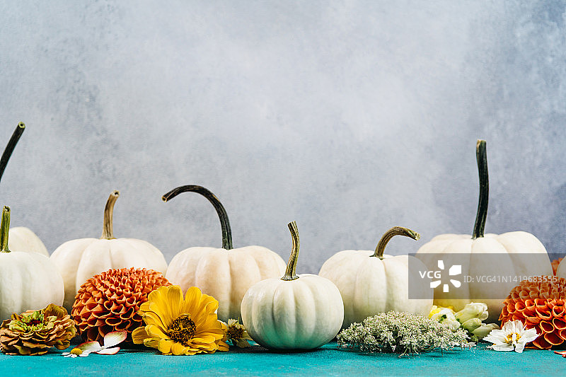 白色装饰南瓜与秋天的花朵在青绿色的桌子上对灰色的墙。感恩节和万圣节的概念。前视图和特写图片素材