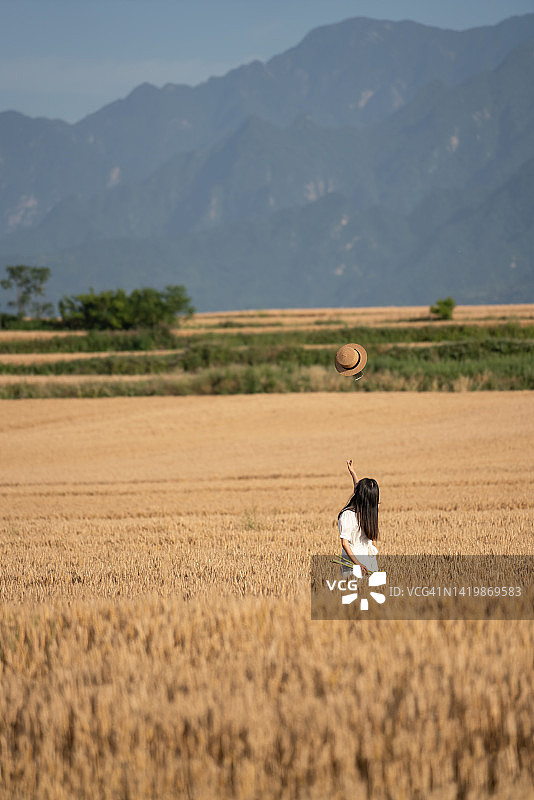 一个年轻的女人在金色的麦田里奔跑图片素材