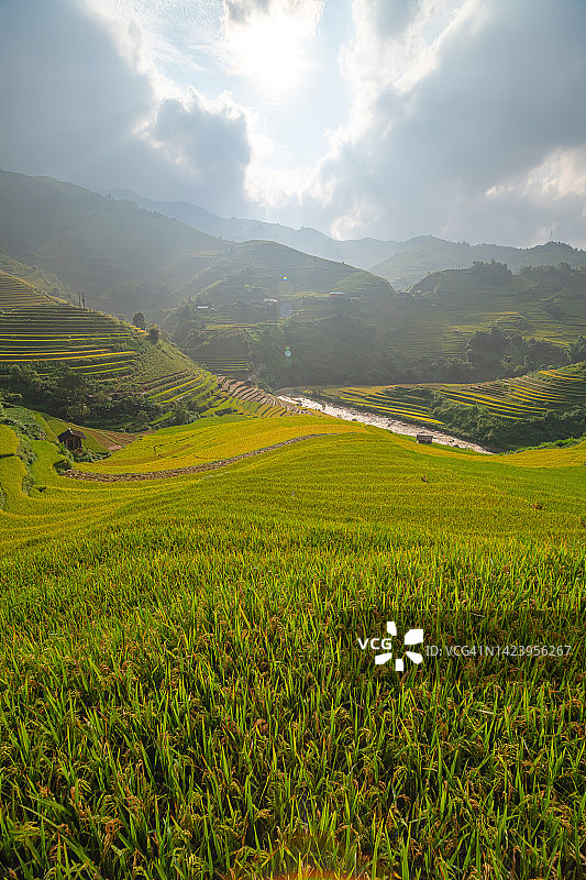 早晨日出的木仓柴镇农村地区的梯田，颜白，山丘陵山谷在越南图片素材