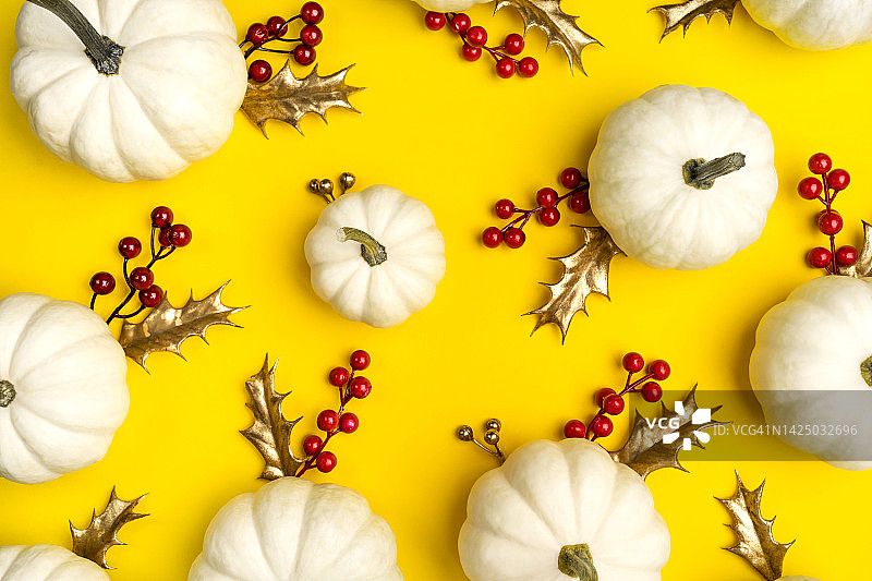 白色的时使南瓜，红色的豆枝和金色的冬青叶在黄色的背景上。感恩节的概念。从上方拍摄，有复制空间图片素材