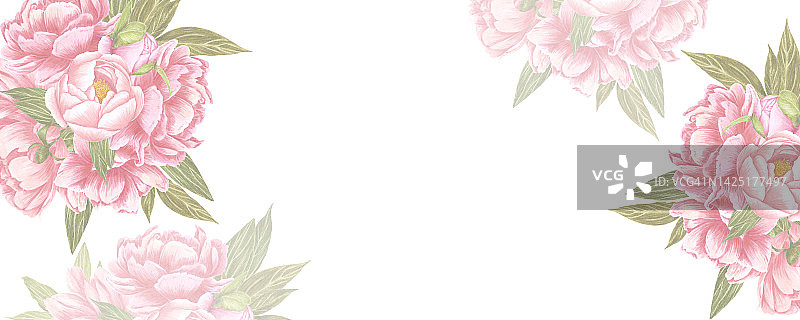 手绘水彩粉色牡丹花框架横幅与绿色的叶子和芽在白色的背景。剪贴簿设计，婚礼请帖，标签，明信片。图片素材