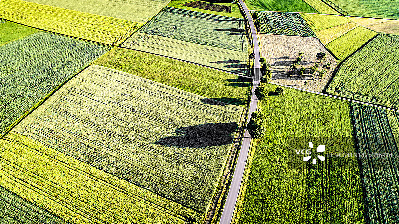 从鸟瞰图中可以看到乡村公路穿过各种农田图片素材