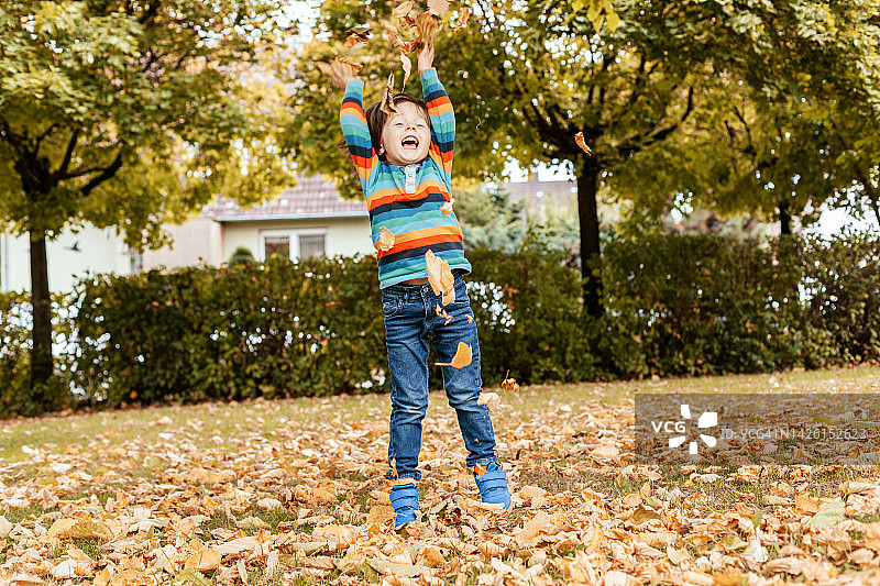 一个快乐的孩子在公园里玩落叶，把一束树叶扔在他的头上，笑着图片素材