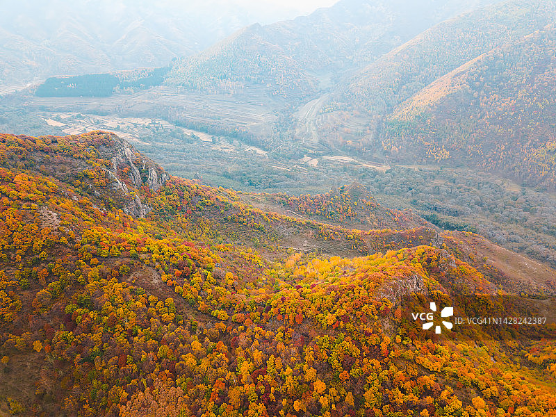 鸟瞰五彩缤纷的秋天图片素材
