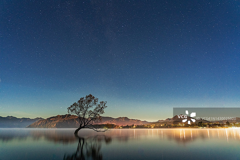 清晨的瓦纳卡树上有星星，瓦纳卡是旅行者的著名目的地，长镜头，新西兰图片素材