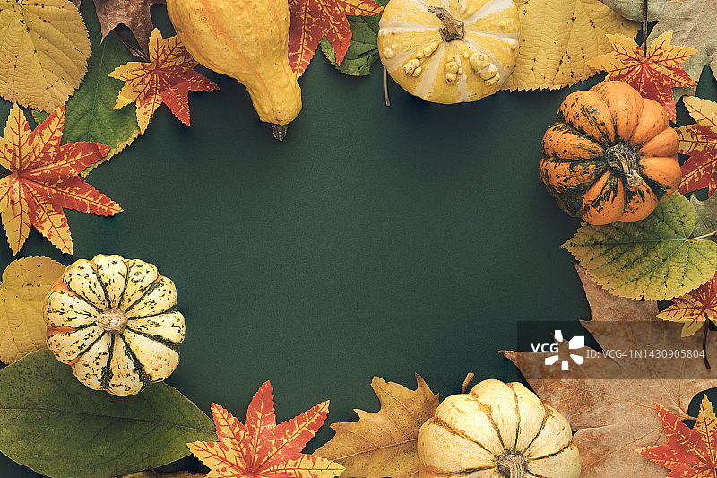 秋天或秋天场景背景与树叶和南瓜。简约的自然季节概念。感恩作文，平躺。图片素材
