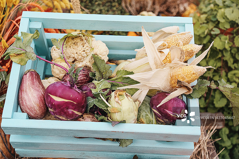 秋天的收获。农贸市场木盒里的各色有机蔬菜图片素材