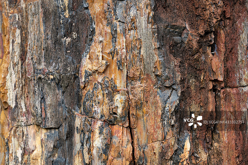 全帧拍摄的天然木材成为石材纹理图案图片素材