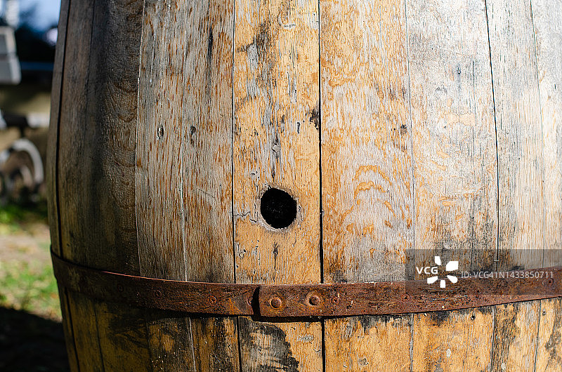 旧木头桶。树状结构。酿造葡萄酒和威士忌。酒精生产。古董装饰。图片素材