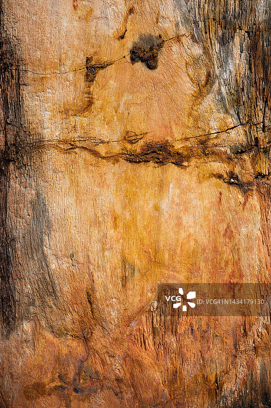 全帧拍摄的天然木材成为石材纹理图案图片素材