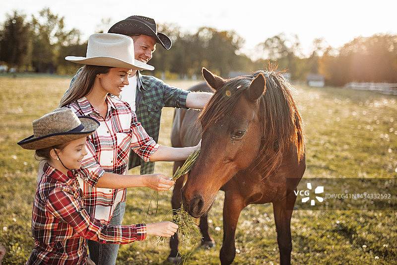 一个幸福的家庭在农场喂马。图片素材
