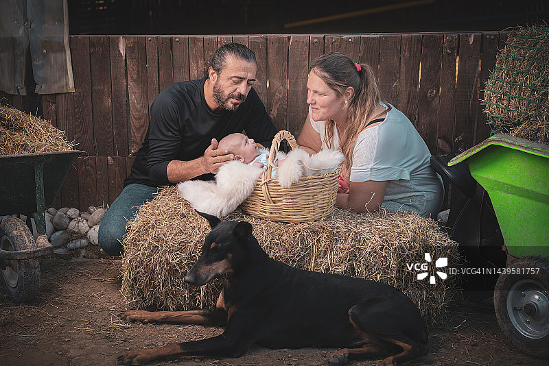 在农场上，一个成熟的家庭与他们的新生儿和他们的狗狗合影。图片素材