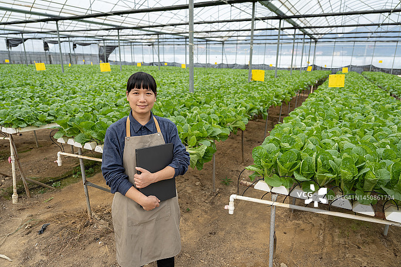 一个亚洲妇女农学家在有机蔬菜温室工作的正面视图图片素材