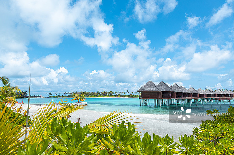 马尔代夫岛水上别墅平房在绿松石酒店度假湖图片素材