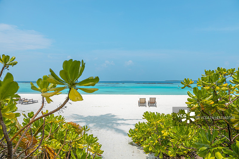 马尔代夫岛在平静的泻湖上，有棕榈树的海滩日光浴床图片素材