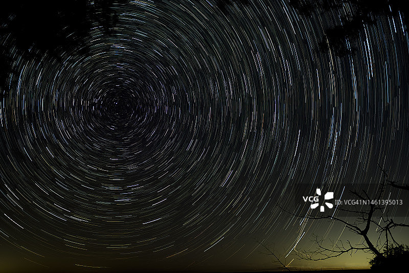 美国佛罗里达州大松岛，美国，夜晚星空下的星迹低角度视图图片素材