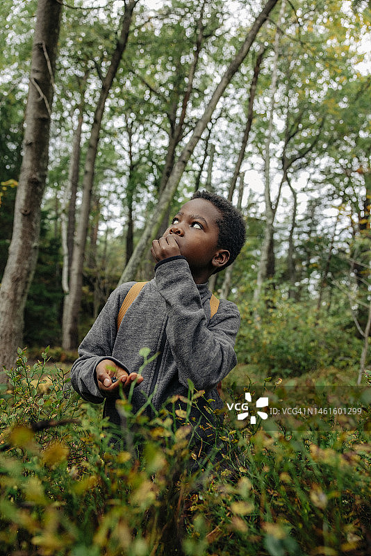 男孩在森林里植物附近吃浆果时抬头看图片素材