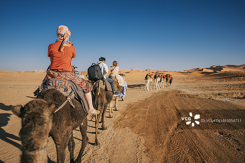 日落时分，在导游的带领下，亚洲中国游客乘坐单峰骆驼火车穿越撒哈拉沙漠摩洛哥图片素材