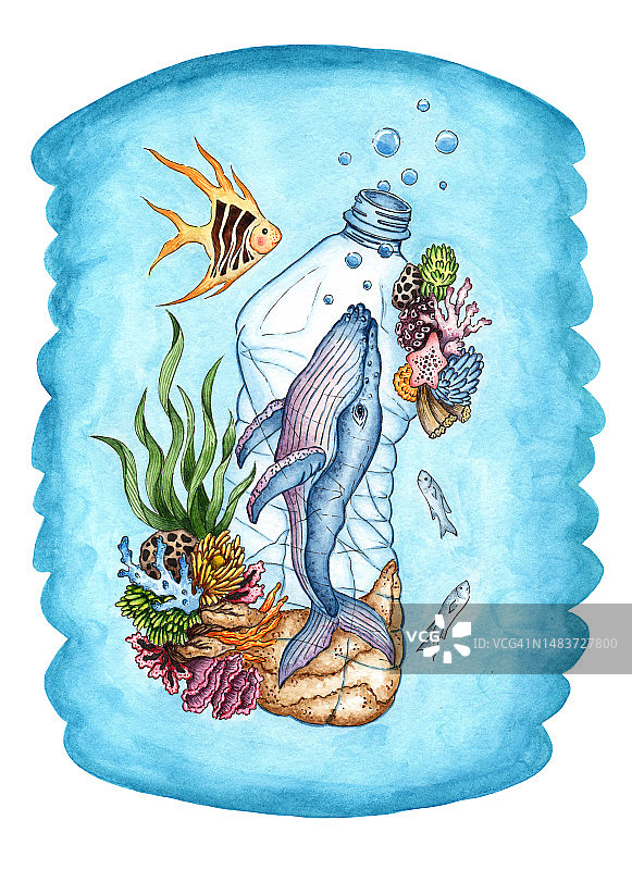 塑料瓶中的鲸鱼水彩画图片素材