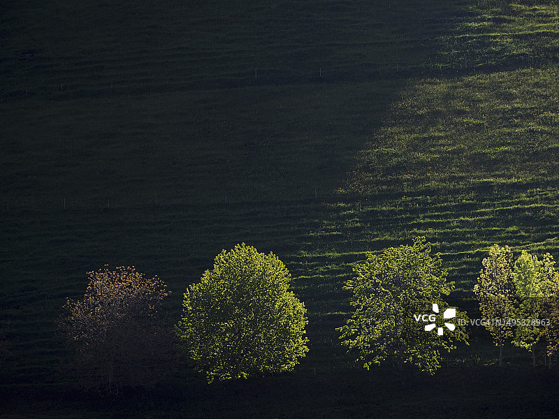 德国巴登-符腾堡州耶尔扎克黑森林绿色景观上的树木风景图片素材