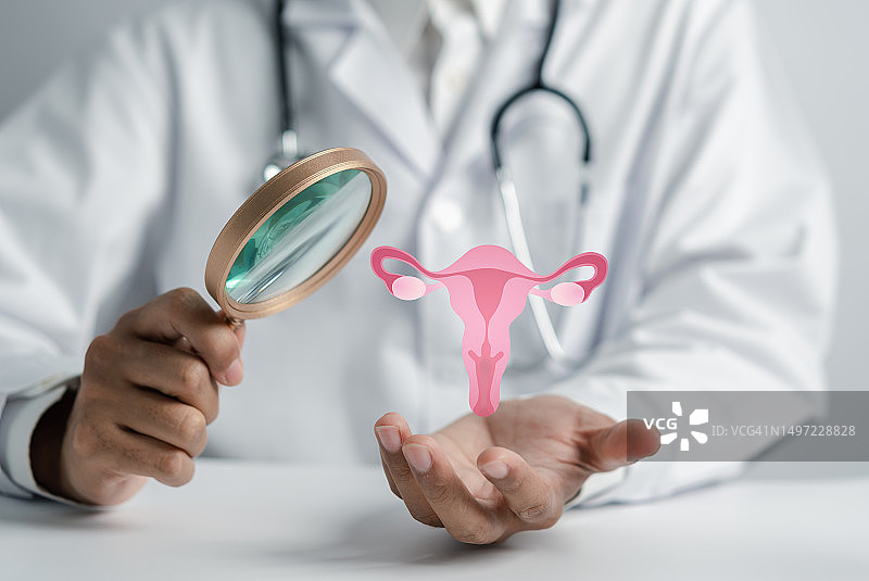 白大褂医生检查子宫生殖系统，女性健康，多囊卵巢，卵巢癌的治疗和检查，健康女性的概念。图片素材