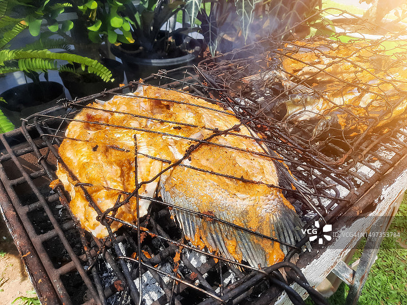 烤架上的烤鱼。烤架上的尼罗罗非鱼和鲶鱼。食品摄影。户外烹饪午餐图片素材