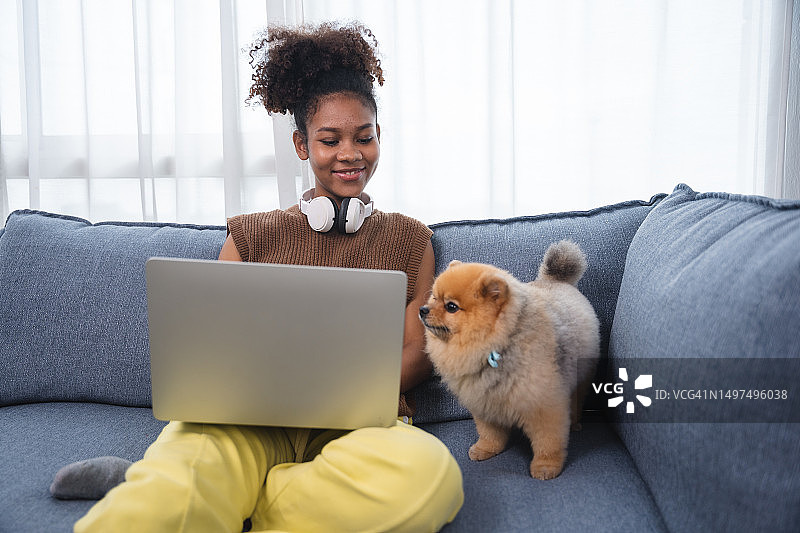 年轻的黑人孕妇坐在沙发上用笔记本电脑在家工作，带着她的狗图片素材