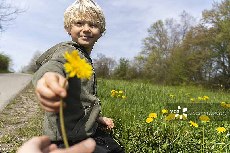 微笑的金发男孩在草地上给母亲送花图片素材