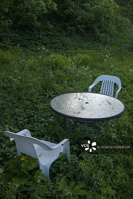杂草丛生的花园里的桌子和椅子图片素材