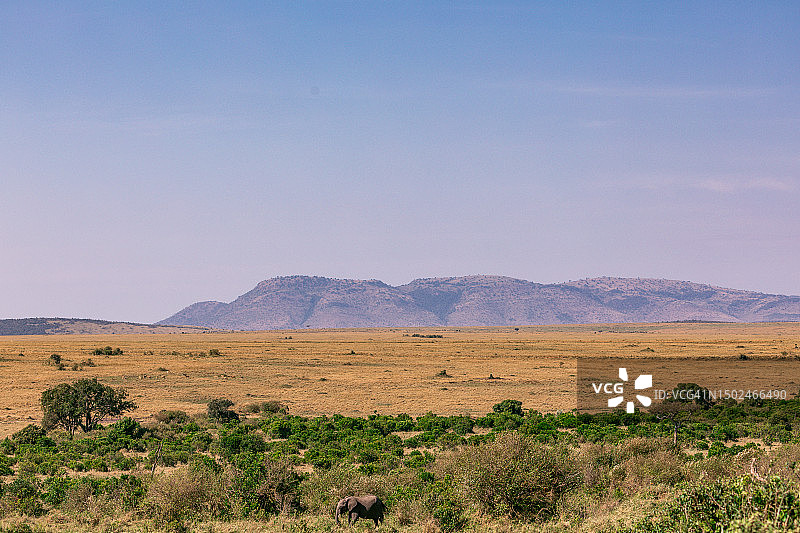 肯尼亚，天空衬托下的田野风景图片素材