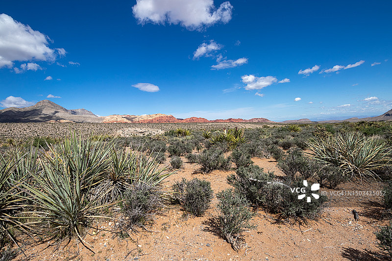 美国内华达州拉斯维加斯，沙漠对天的美景图片素材