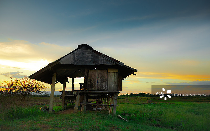 老木屋在稻田与戏剧性的天空图片素材