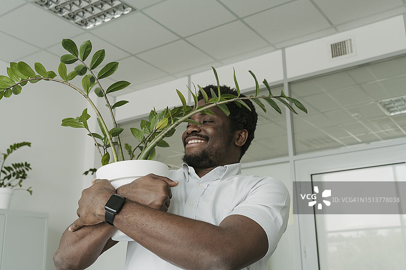 微笑的商人在办公室拥抱盆栽图片素材