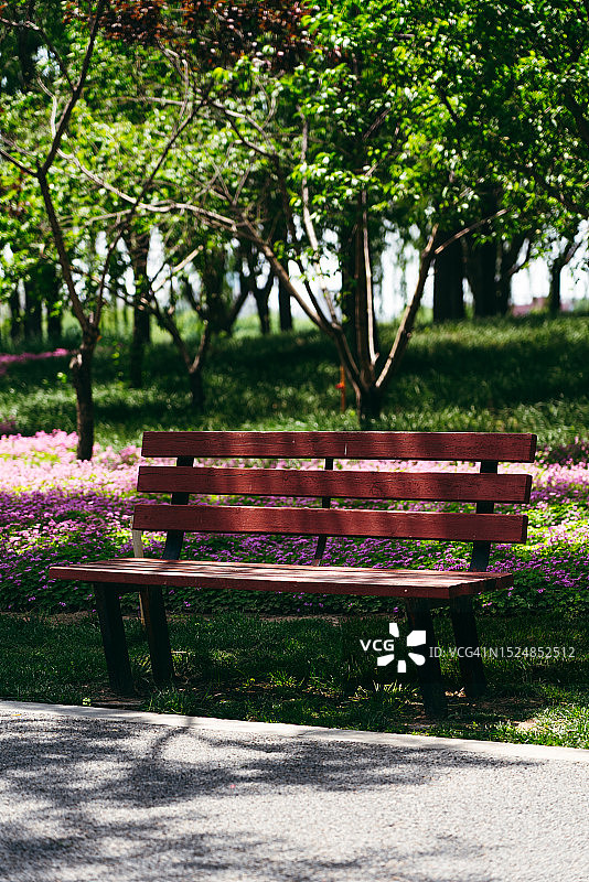 公园里靠树和花的长椅图片素材