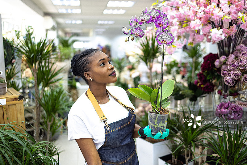 黑人女花店老板在花盆里检查兰花图片素材