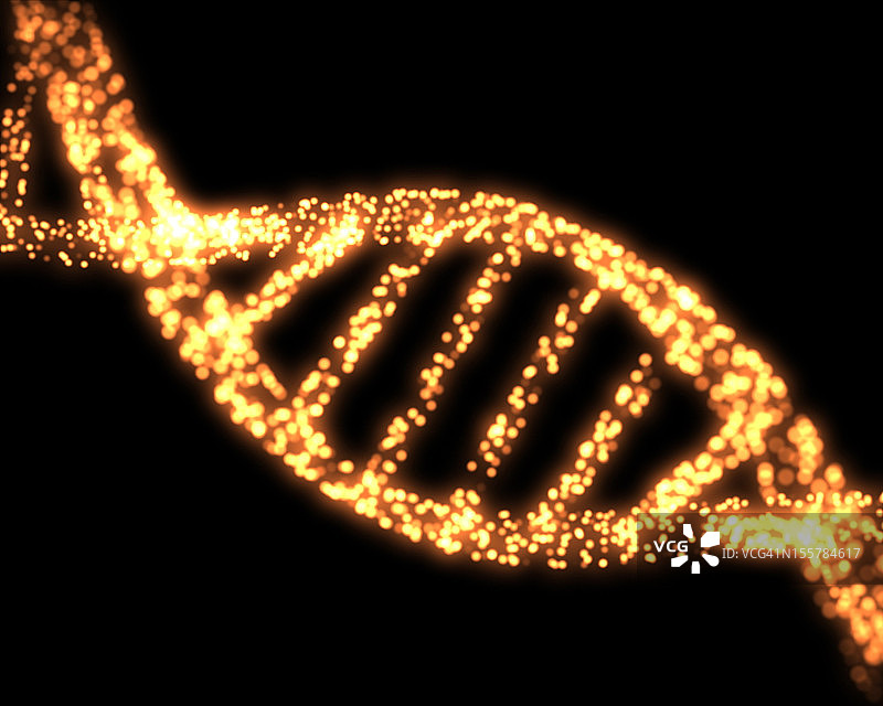 橙色的DNA螺旋图片素材