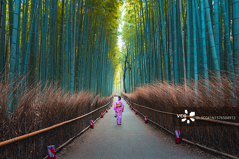 在日本京都岚山的竹林中散步的日本妇女图片素材