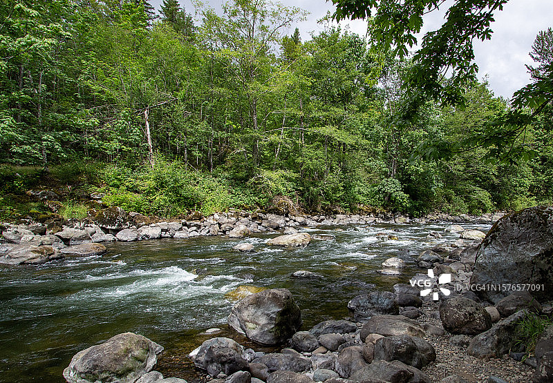 美国华盛顿州拉文斯代尔，森林中河流穿过岩石的风景图片素材