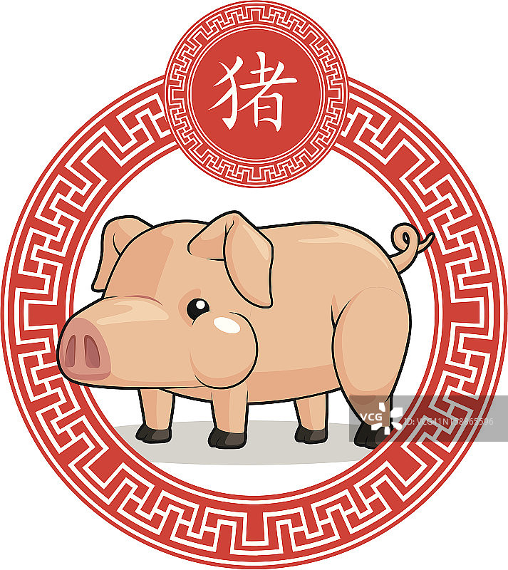 中国生肖动物-猪图片素材