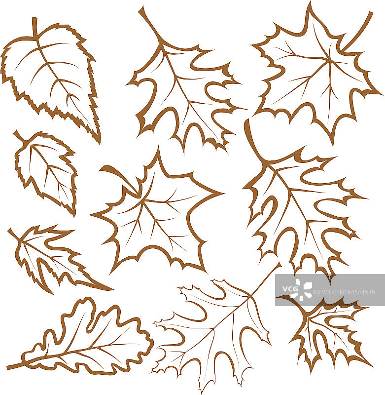线条插图的秋叶形状图片素材